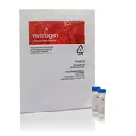 Thermo Fisher Scientific Filmtracer LIVE/DEAD Biofilm Viability Kit