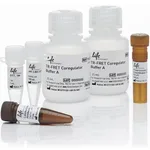 Thermo Fisher Scientific LanthaScreen TR-FRET Androgen Receptor Coactivator Assay Kit