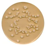 Merck Potato Glucose AgarNutriSelect Plus