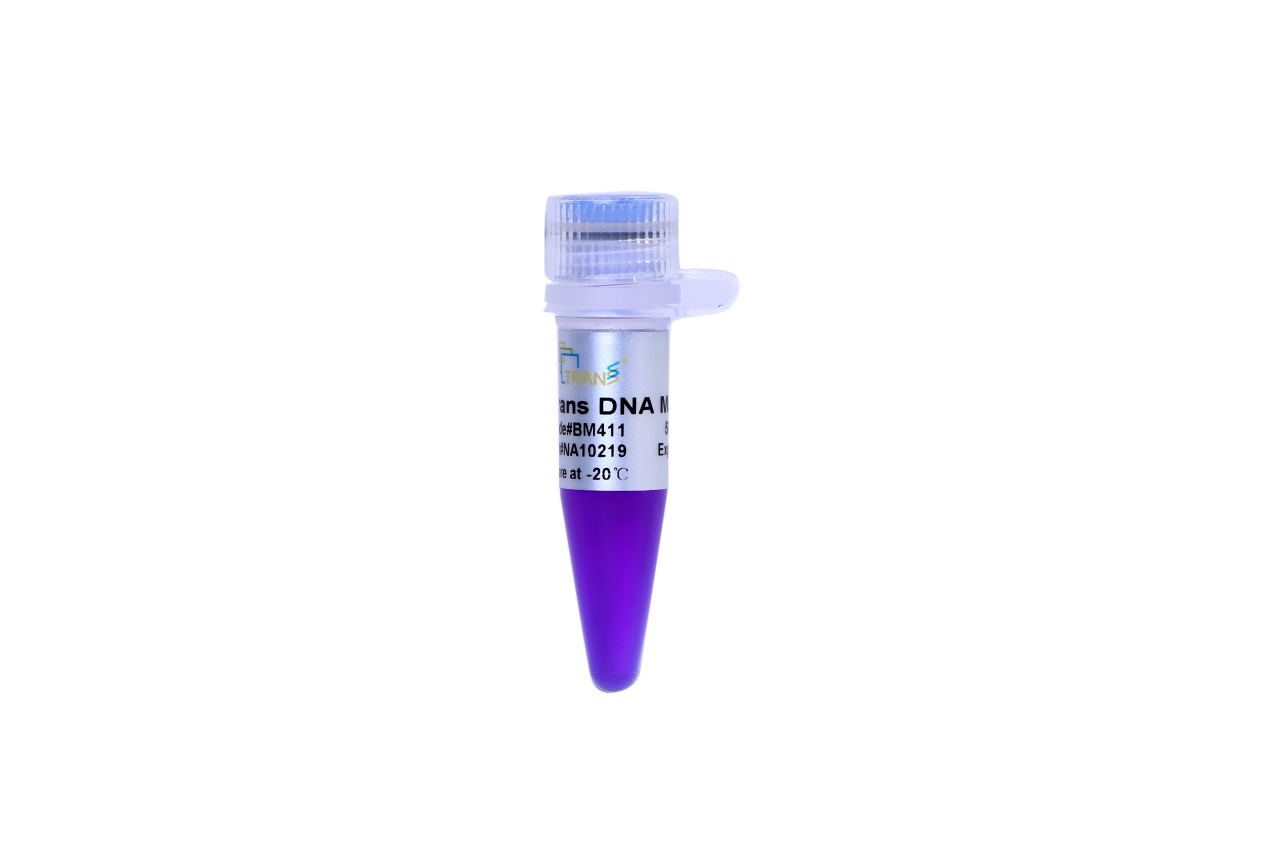 Trans DNA Marker II