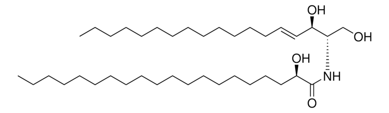 Merck 20:0(2R-OH) Ceramide