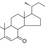 Merck 7-OXOCHOLEST-5-EN-3-BETA-YL ME - 1 MG&