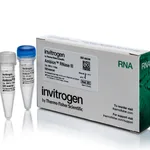 Thermo Fisher Scientific Ambion RNase III