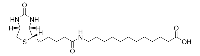 Merck 12:0 N-Biotinyl Fatty Acid