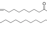 Merck 18:1-12:0 Biotin PC