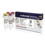 Thermo Fisher Scientific XhoI, HC (50 U/μL)