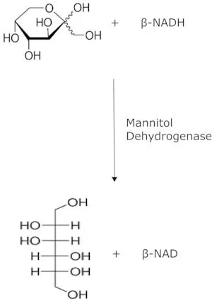 Merck MANNITOL DEHYDROGENASE FROM LEUCONOSTOC&