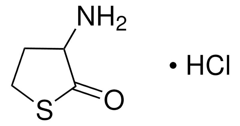 Merck L-HOMOCYSTEINE THIOLACTONE HYDRO-