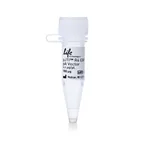 Thermo Fisher Scientific pJTI R4 EXP CMV-TO EmGFP pA Vector