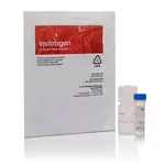Thermo Fisher Scientific FluoReporter lacZ/Galactosidase Quantitation Kit