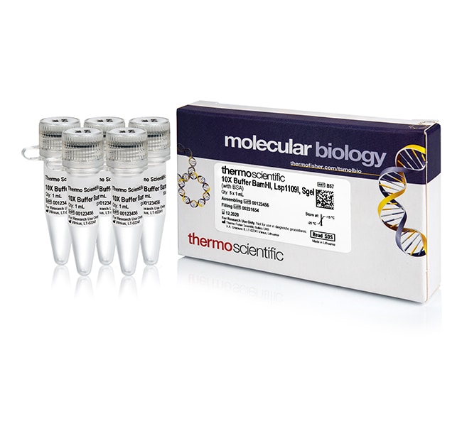 Thermo Fisher Scientific BamHI-Lsp1109I Buffer (10X)