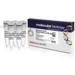 Thermo Fisher Scientific BamHI-Lsp1109I Buffer (10X)