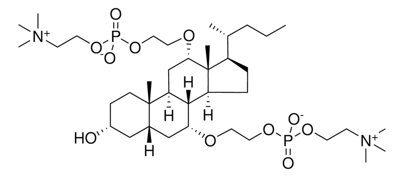 Merck Facade(R)-EPC