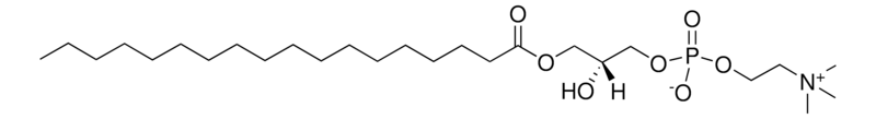 Merck 18:0 Lyso PC