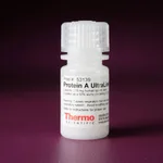 Thermo Fisher Scientific Pierce Protein A UltraLink Resin