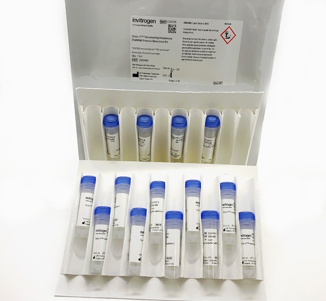 Thermo Fisher Scientific Click-IT Tetramethylrhodamine (TAMRA) Protein Analysis Detection Kit