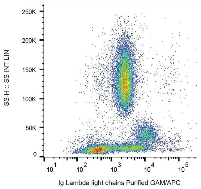Thermo Fisher Scientific Mouse anti-Human Lambda Light Chain Secondary Antibody