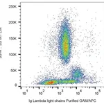 Thermo Fisher Scientific Mouse anti-Human Lambda Light Chain Secondary Antibody