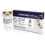 Thermo Fisher Scientific Eco47I (AvaII) (10 U/μL), 800 units
