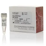 Thermo Fisher Scientific Oligo(dT)20 Primer