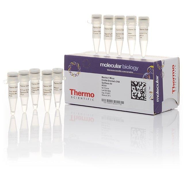 Thermo Fisher Scientific Maxima H Minus Double-Stranded cDNA Synthesis Kit, 10 Reactions