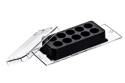 Greiner Bio One CELLVIEW CELL CULTURE SLIDE, PS, 75/25 MM,GLASS BOTTOM, 10 COMPARTMENTS, ADVANCED TC, STERILE, 5 PCS./TRAY