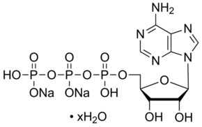 Merck ADENOSINE 5``-TRIPHOSPHATE DISODIUM SALT&