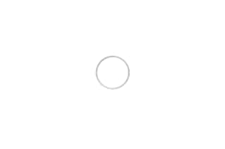 Waters O-Ring, FKM, AS035
