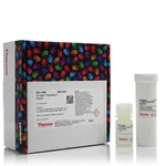Thermo Fisher Scientific Pro-Detect Rapid Mouse Fc Assay Kit