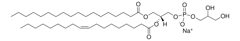 Merck 18:0-18:1 PG