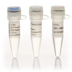 Thermo Fisher Scientific Phusion Hot Start II High-Fidelity PCR Master Mix, 500 x 50 μL Reactions