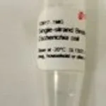 Merck SINGLE-STRAND BINDING PROTEIN