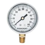 Thermo Fisher Scientific Ashcroft Commercial Gauge with Bottom Connection, 100 psi, 2-1/2 in. Dial