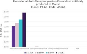 Merck MONOCLONAL ANTI-PHOSPHOTYROSINE,       &