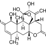 Merck AILANTHONE