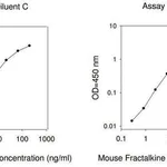 Merck Mouse Fractalkine / CX3CL1 ELISA Kit