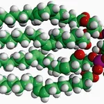 Merck 18:1 CARDIOLIPIN