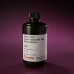 Thermo Fisher Scientific 1-Step Ultra TMB-Blotting Solution