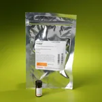 Thermo Fisher Scientific AEBSF Protease Inhibitor