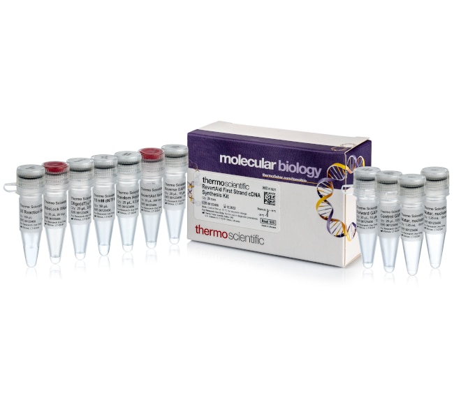 Thermo Fisher Scientific RevertAid First Strand cDNA Synthesis Kit, 20 reactions