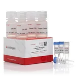 Thermo Fisher Scientific Calcium Phosphate Transfection Kit