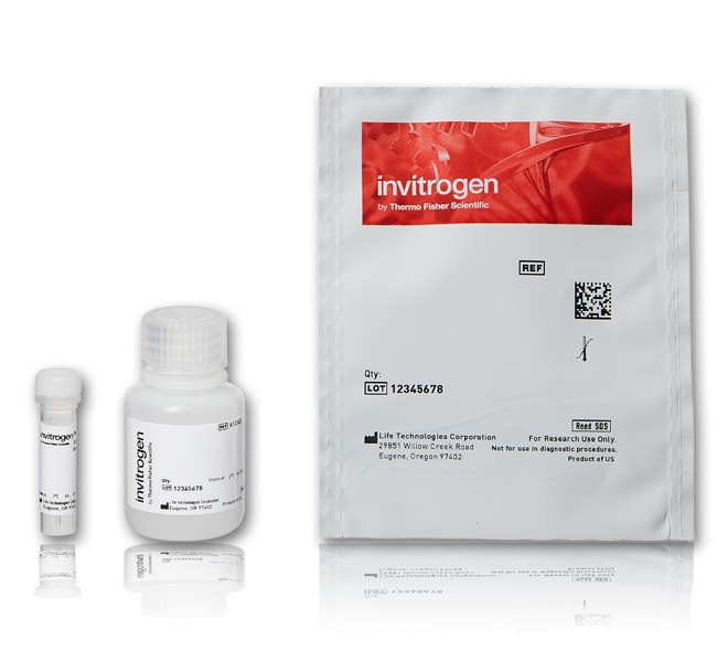Thermo Fisher Scientific Qdot Incubation Buffer