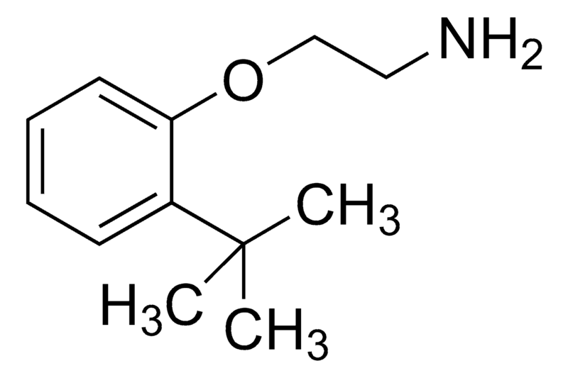Merck 2-(2-tert-Butylphenoxy)ethanamine