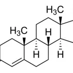 Merck EPITESTOSTERONE