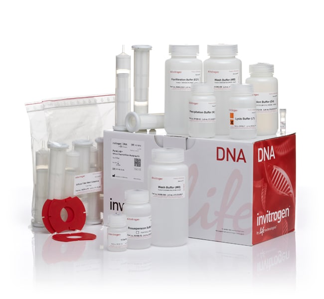 Thermo Fisher Scientific PureLink HiPure Plasmid Filter Maxiprep Kit, 10 Preps