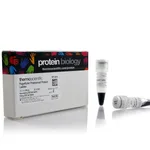Thermo Fisher Scientific PageRuler Prestained Protein Ladder, 10 to 180 kDa, 2 x 250 μL