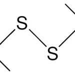 Merck TERT-HEPTYL DISULFIDE-1G