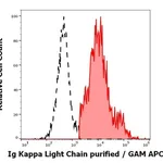 Thermo Fisher Scientific Mouse anti-Human Kappa Light Chain Secondary Antibody