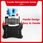 Servicebio Electrophoresis System (Transfer)