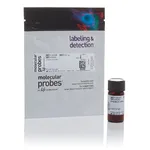 Thermo Fisher Scientific Propidium Iodide